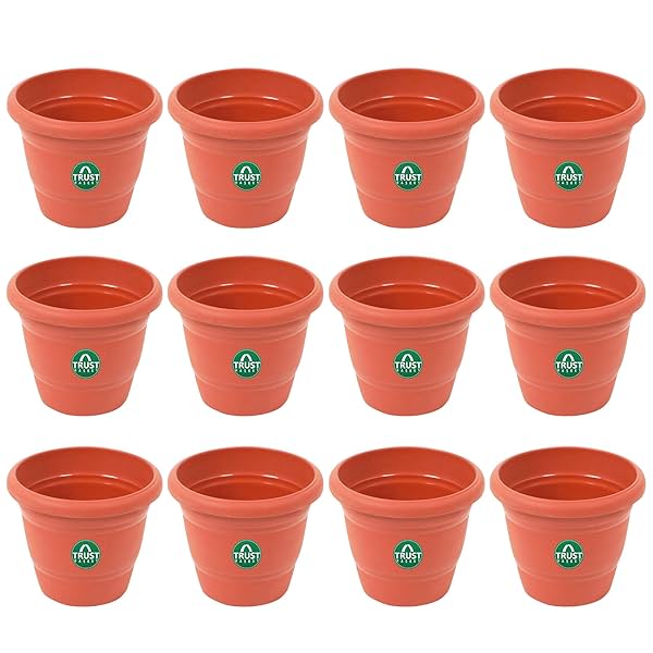 Image of TrustBasket Round Pot (6 Inches) - Set of 12