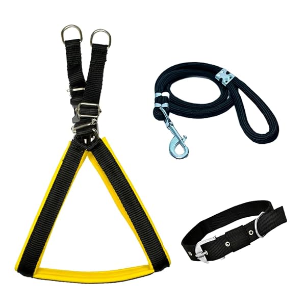 Image of VIP Collection No Pull -Step in Soft Padded Dog Harness 