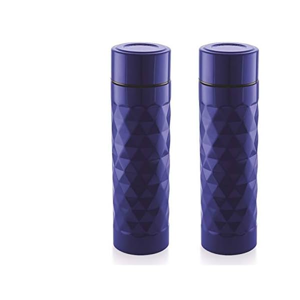 Image of Visual Prisma F2GO Stainless Steel Water Bottle