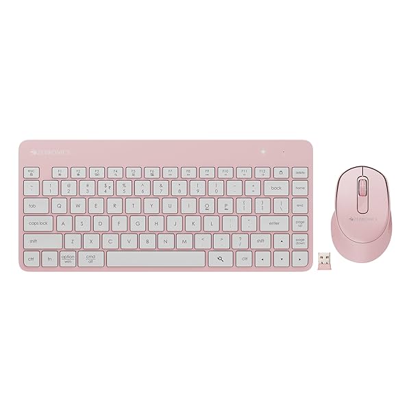 Image of ZEBRONICS Companion 201 2.4GHz Wireless Keyboard & Mouse Combo,