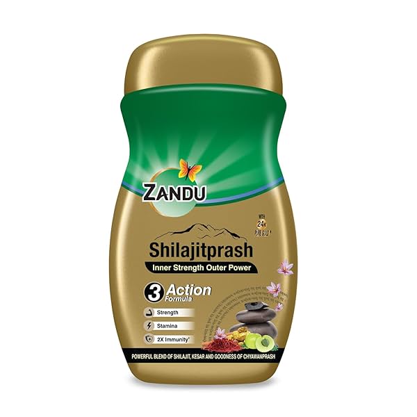 Image of Zandu Shilajitprash 450g | Shilajit + Chyawanprash Herbs|