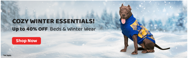 Image of ZigLY Sale : Get upto 40% on Beds & winter wear for pets