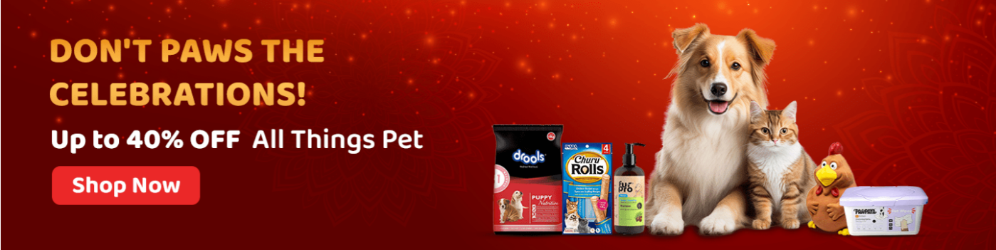 Image of ZigLY Sale : Save Up to 40% + Extra 10% on Pet Products 