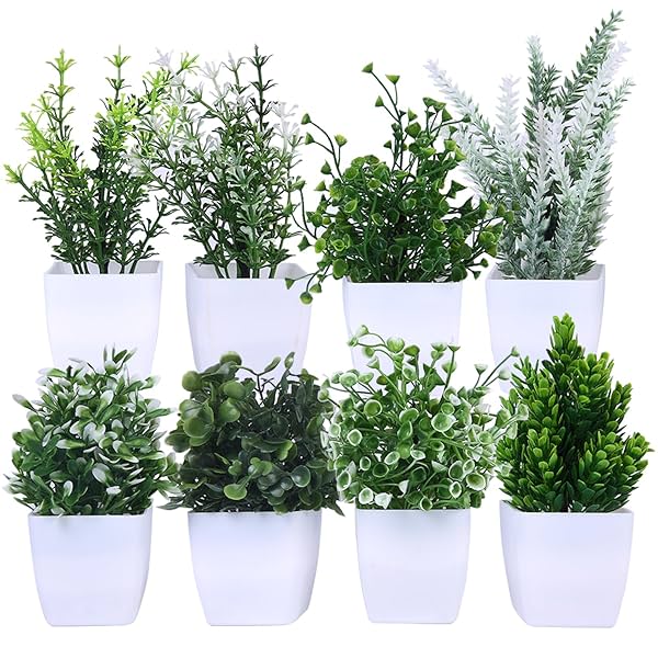 Image of amazon basics Artificial Plants with Pot| Multi Variety | (Pack of 8)