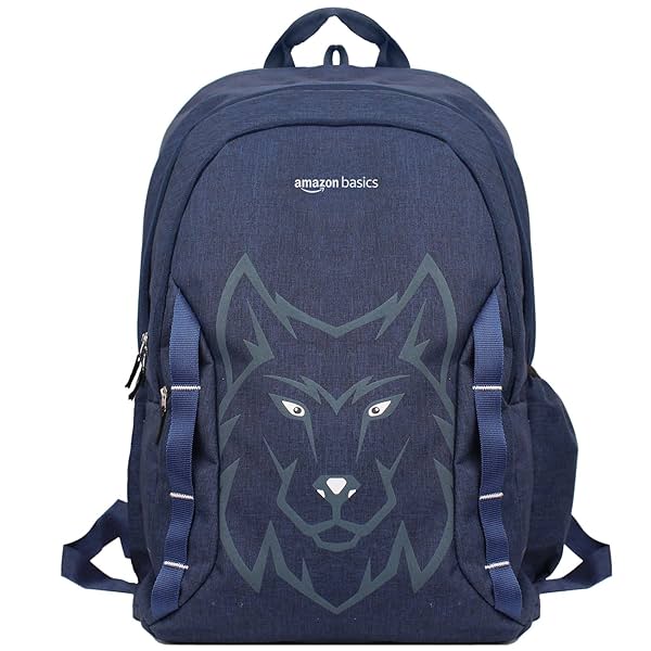 Image of amazon basics Backpack 44L Capacity 