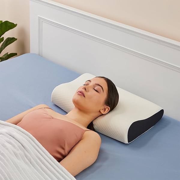 Image of amazon basics Memory Foam Contour Pillow