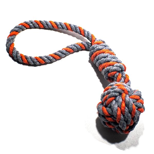 Image of doggie dog dog toys for large dogs