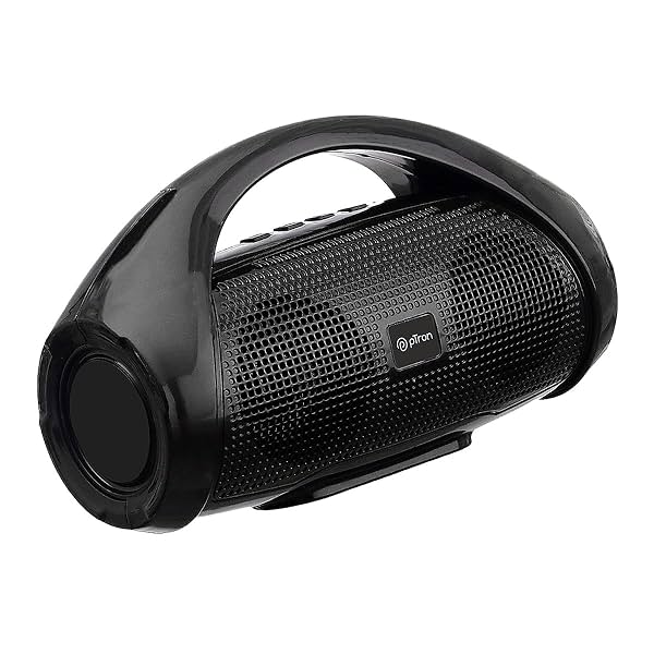 Image of pTron Fusion Go 10W Bluetooth Speaker